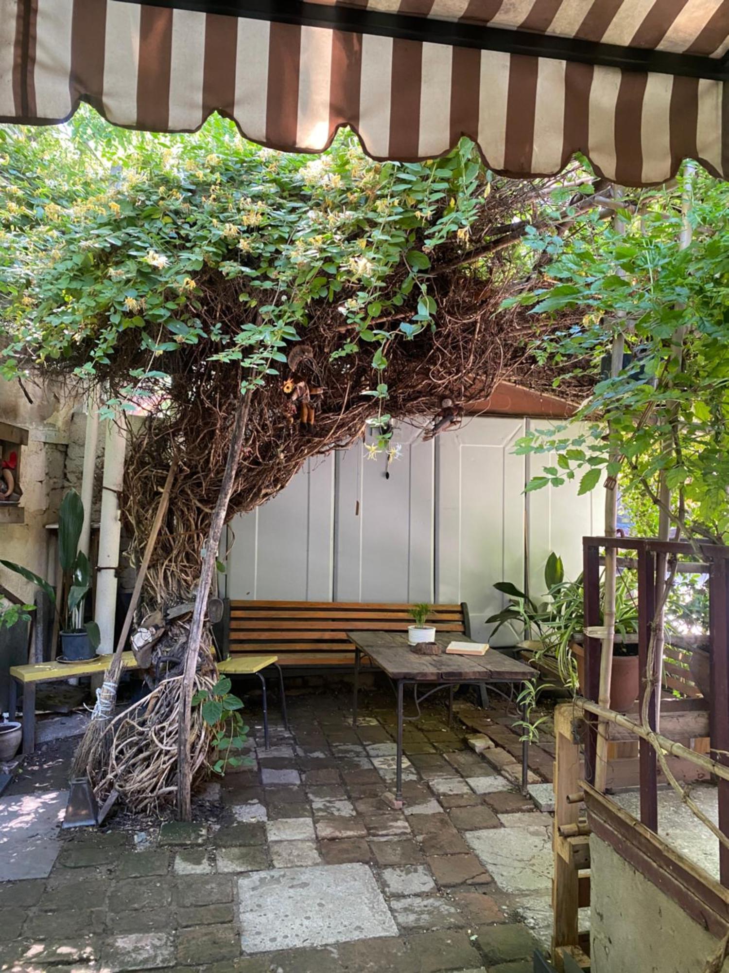 טביליסי Cozy Zandukeli N15 - City Centre מראה חיצוני תמונה